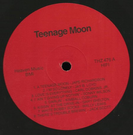 Teenage Moon .jpg