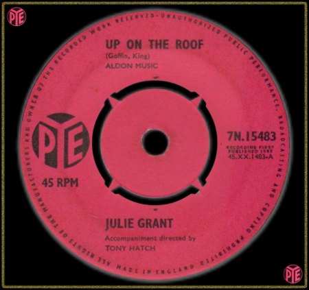 JULIE GRANT - UP ON THE ROOF_IC#002.jpg