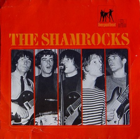 shamrocks-06.jpg