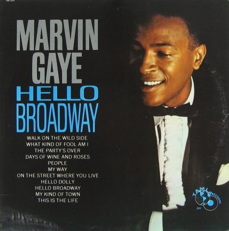 MARVIN GAYE-LP 2.JPG