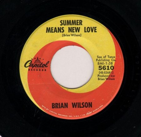 BRIAN WILSON - Summer means new love -B-.JPG