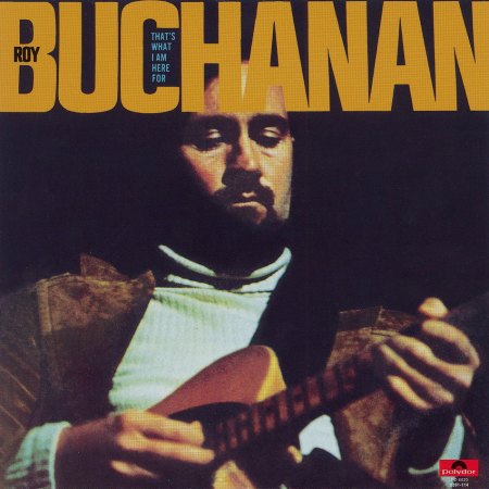 Roy Buchanan - Front_Bildgröße ändern.jpg