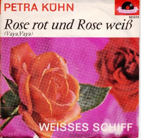 PETRA KÜHN - Rose rot und Rose weiß - CV VS -.jpg