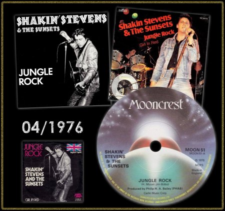 SHAKIN' STEVENS - JUNGLE ROCK_IC#001.jpg
