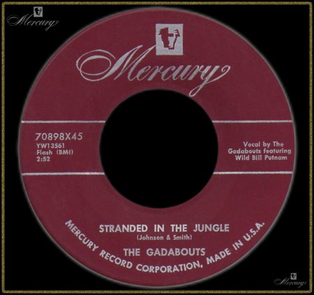 GADABOUTS - STRANDED IN THE JUNGLE_IC#003.jpg