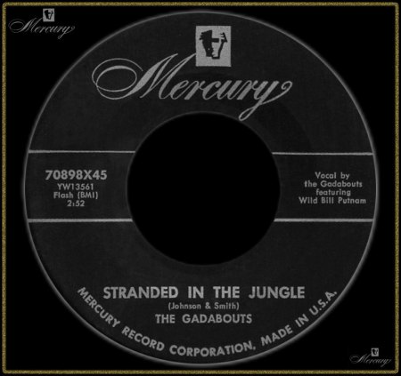 GADABOUTS - STRANDED IN THE JUNGLE_IC#002.jpg
