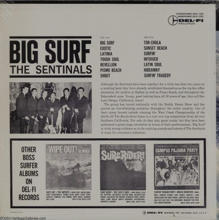Sentinals - Big Surf - LP (2).jpg