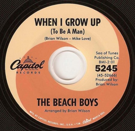 Beach Boys - When I grown up (3)ff.jpg