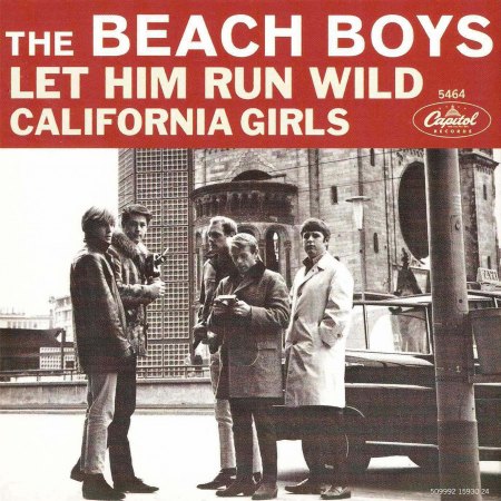 Beach Boys - California girls (2).jpg