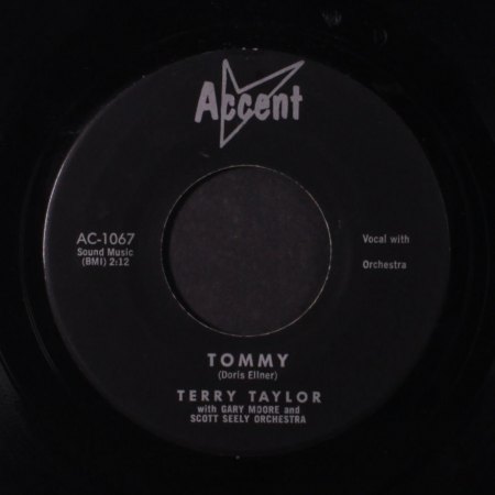 ACCENT - Terry Taylor 1.jpg