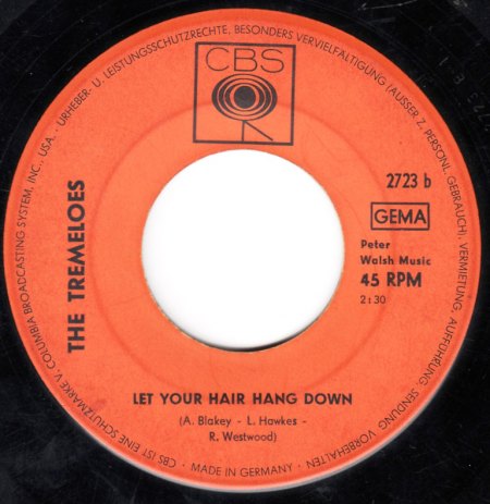 TREMELOES - Let your hair hang down -B-.jpg