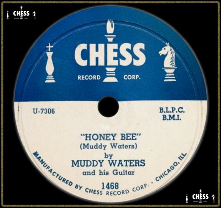 MUDDY WATERS - HONEY BEE_IC#002.jpg