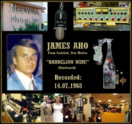 JAMES AHO - DANDELION WINE_IC#001.jpg