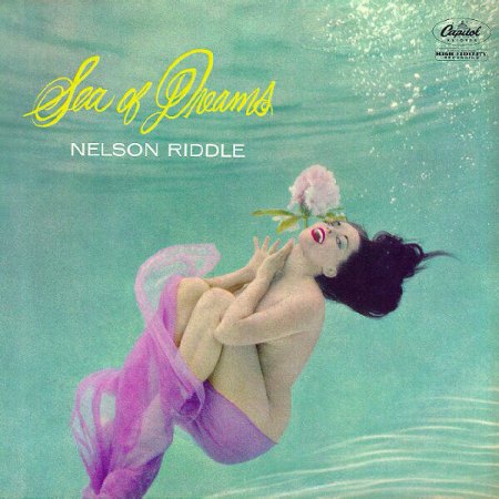 Riddle,Nelson11Sea of dreams.jpg