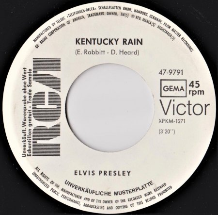 elvis - kentucky rayn weissmuster 1 001 (2).jpg