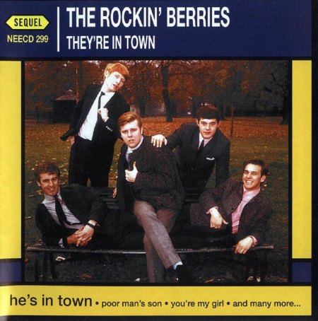 Rockin' Berries - They're in town (1).jpg