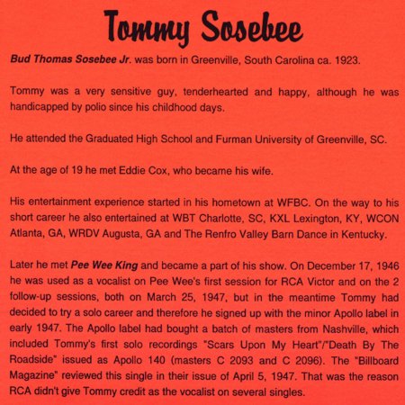 Sosebee, Tommy - Voice of the hills (4).jpg