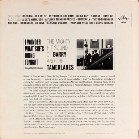 BARRY & THE TAMERLANES