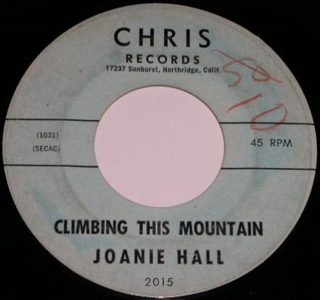 Hall,Joanie01Chris 2015 Climbing the mountain.jpg