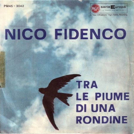 k-FIDENCO, Nico 3a.JPG