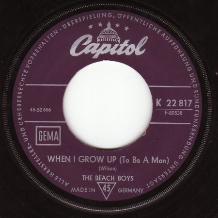 BEACH BOYS - Capitol K 22 817 B - When I Grow Up.jpg