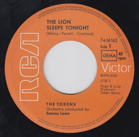 THE TOKENS - The lion sleeps tonight -A-.jpg