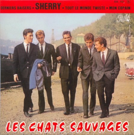 Chats Sauvages (les) - EP 8_Bildgröße ändern.jpg