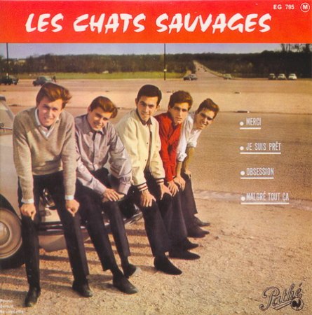 Chats Sauvages (les) - EP 13_Bildgröße ändern.jpg