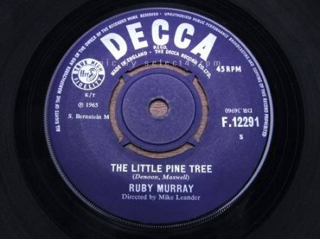 R.MURRAY - The litte pine tree -A-.jpg