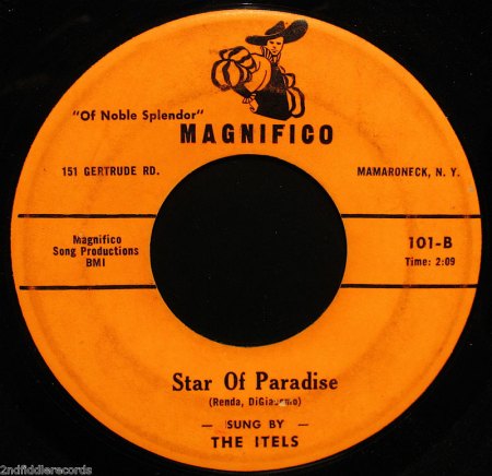 THE ITELS - Star of Paradise -B-.jpg