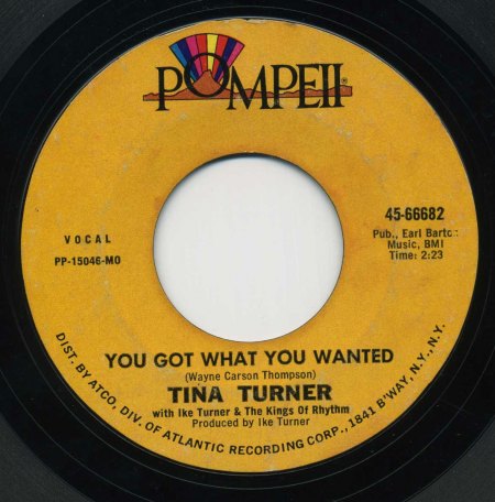 TINA TURNER - You Got What You Wanted -B-.JPG