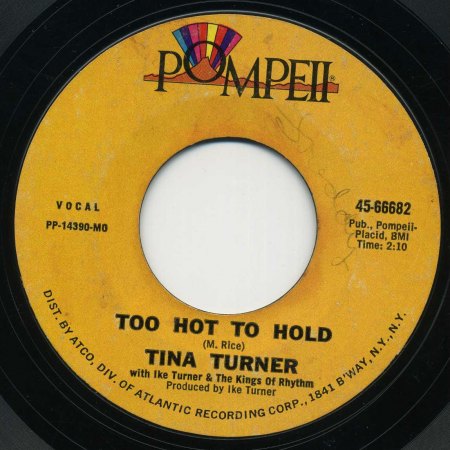 TINA TURNER - Too Hot To Hold -A-.JPG