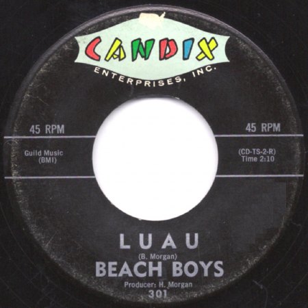 CANDIX - Beach Boys 1 301b.jpg
