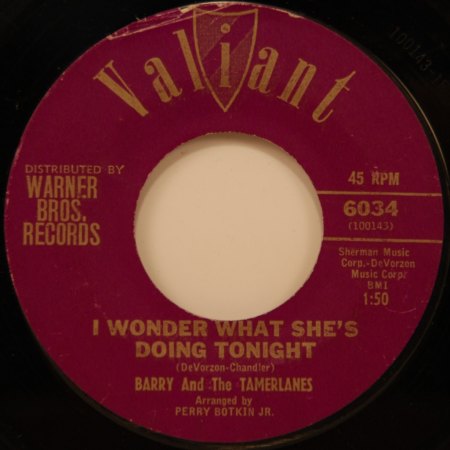 BARRY &amp; THE TAMERLANES - I wonder what... -A-.jpg