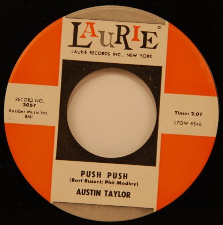 AUSTIN TAYLOR - Push Push -B-.jpg