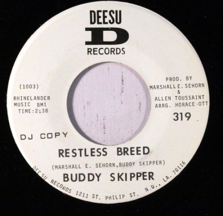 SKIPPER 1 - Deesu.jpg