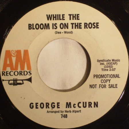 McCURN - While the bloom is on the rose -B1-.jpg