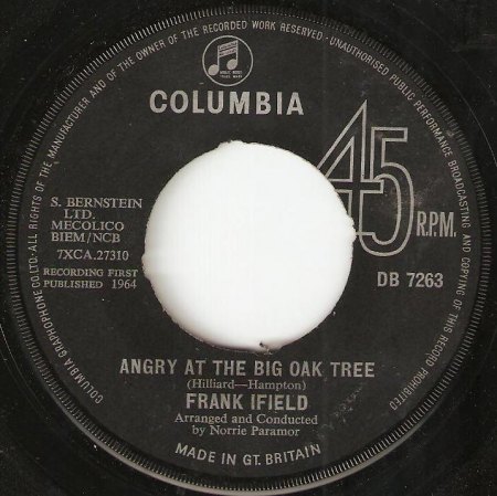 angry at the old oak tree.jpg