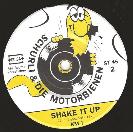 Schurli03Shake It Up.jpg