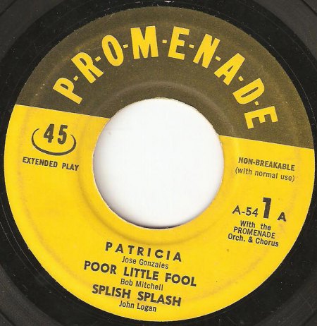 Disk Jockeyback1a.jpg