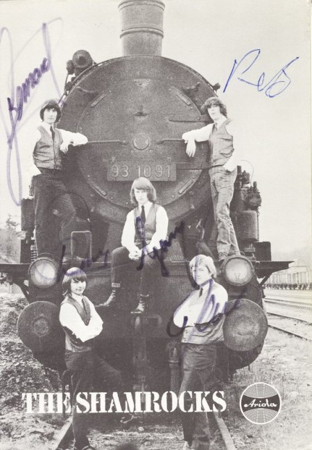 Shamrocks_Bildgröße ändern.JPG