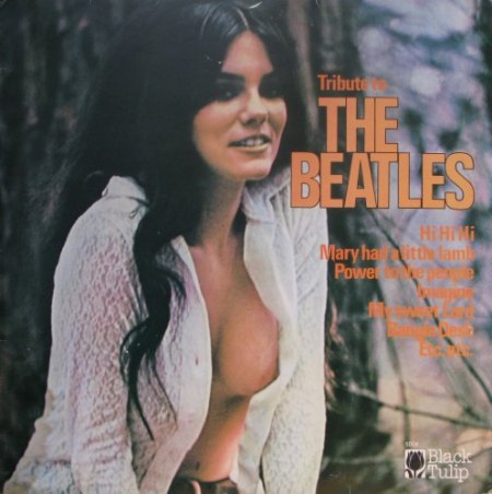 Beatles01Tribute to the.jpg