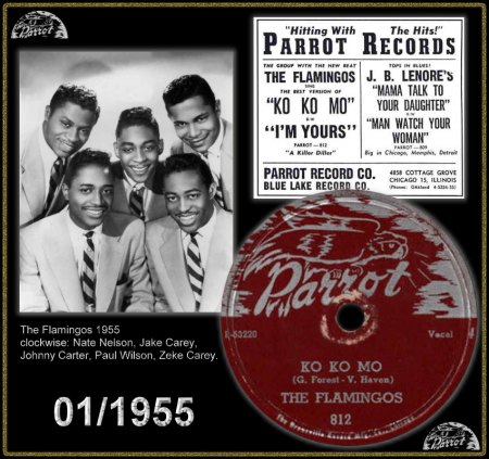 FLAMINGOS - KO KO MO (PARROT)_IC#001.jpg