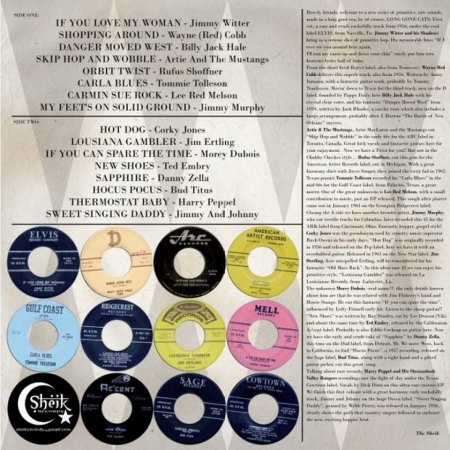 Long gone Cats Vol 1  (2)v.jpg