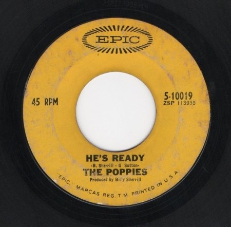 POPPIES - He's ready -B-.JPG