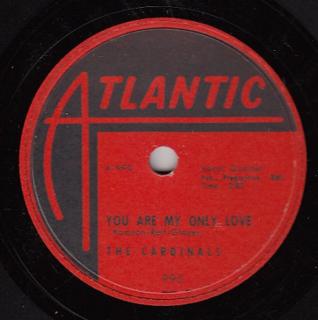 CARDINALS -  You are my only love -A-.JPG