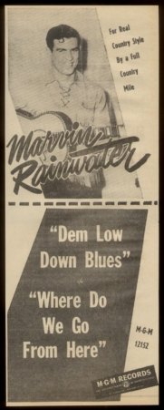 RAINWATER-AD3.JPG