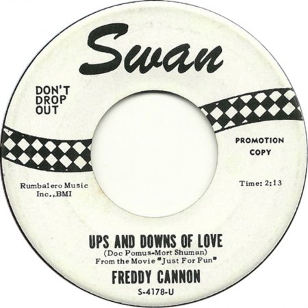 Just for fun13The ups and downs of love Swan.jpg
