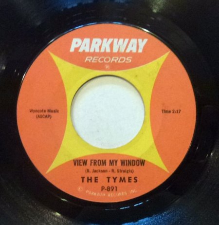 THE TYMES - View from my window -B-.jpg