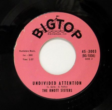 KNOTT SISTERS - Undivided Attention -B-.JPG